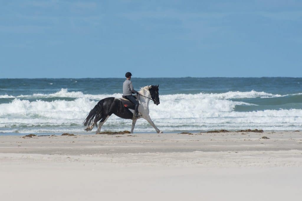 Ferienhaus Küstenzauber Ostsee Kalifornien Reiten