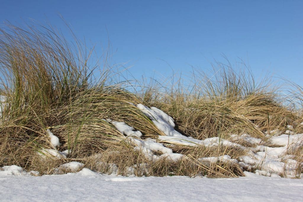 Ferienhaus Küstenzauber Ostsee Kalifornien Winter