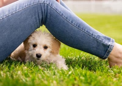 Zeit mit deinem treuen Begleiter – 1 Hund ist bei uns herzlich willkommen